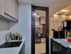 Botanique At Bartley (D19), Condominium #477387531